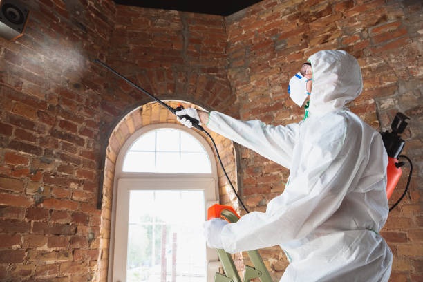 Best Mold removal after water damage  in Norfolk, NE